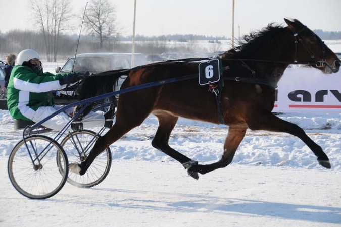 Žirgų lenktynių „Sartai 2013“ prizinis fondas – 65 000 litų
