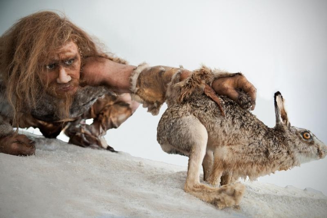 Tik Afrikos pietinės dalies gyventojai neturi neandertaliečių genų