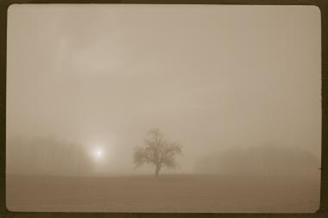 Fotografijos galerijoje – A.Šeštoko „Šviesos kaligrafija“