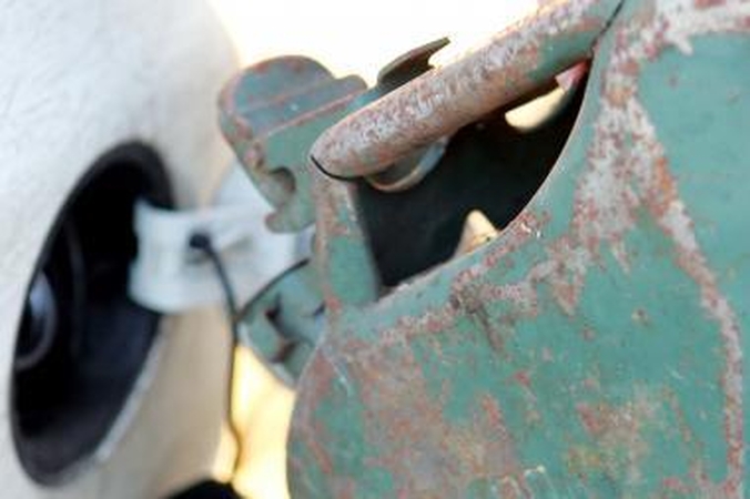 Kurą iš automobilio mėginęs pavogti vilnietis nuteistas per parą