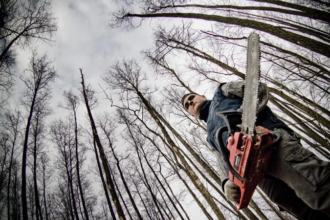 Priekulėje dėl vandenvietės iškirs hektarą miško