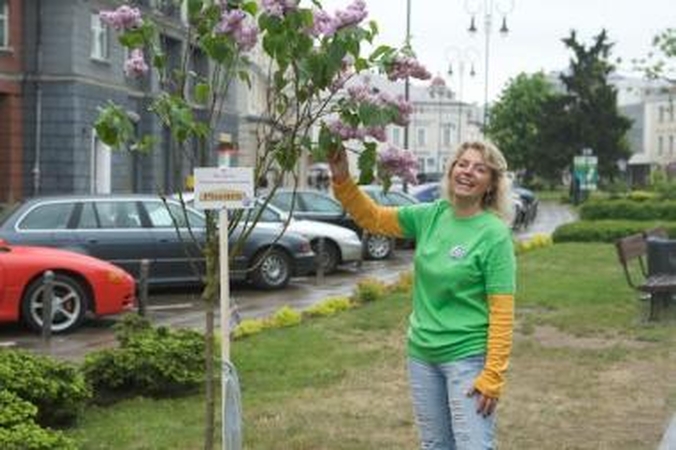 Sostinės Vokiečių gatvė kvepia alyvomis