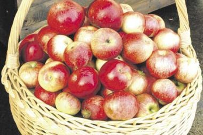 Už lietuviškus obuolius teks mokėti daugiau