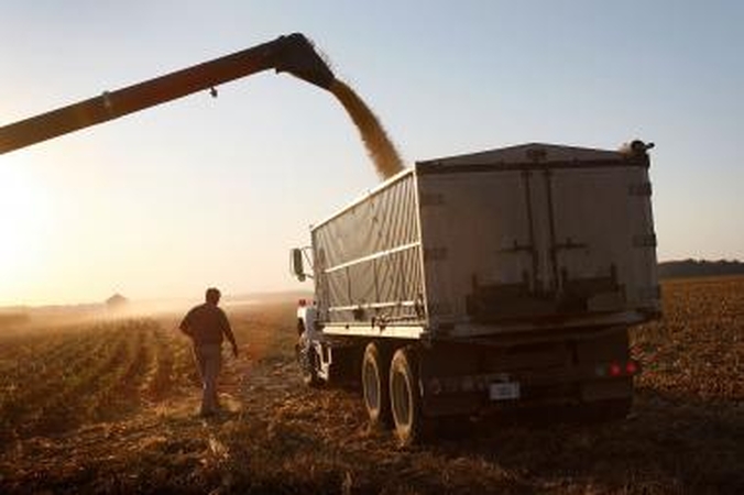 "Agrokoncernas" į grūdų krovą ir saugojimą Žemaitijoje investavo 10 mln. litų 