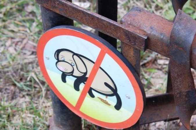 Danams teks stabdyti ūkinę veiklą Lietuvoje?
