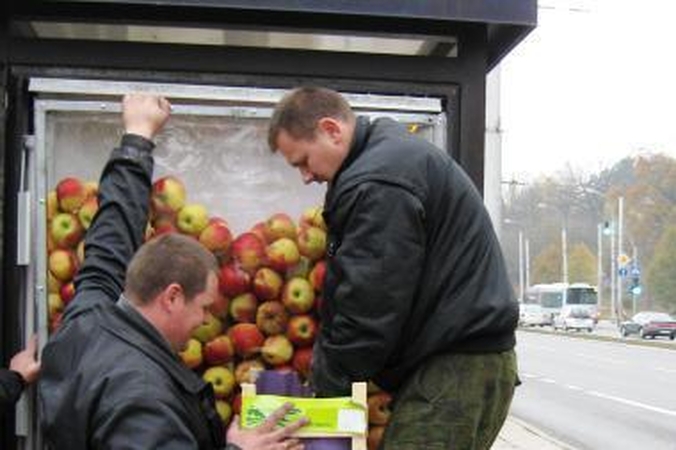 Stotelės bus užpildytos tikrais obuoliais