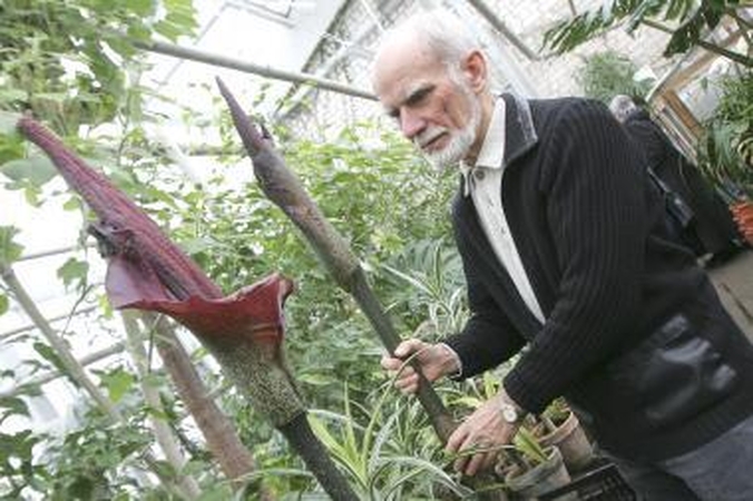 Botanikos sode pražydo didžiausia pasaulyje gėlė