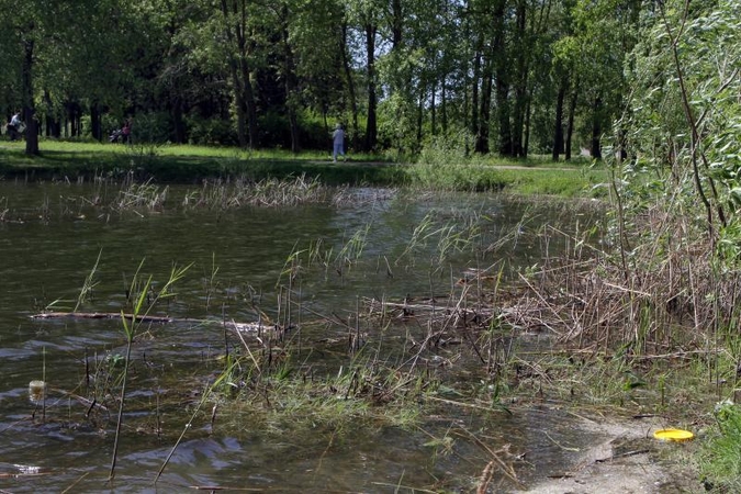 Ukmergės rajone į tvenkinį su šeima įlėkęs vairuotojas buvo apsvaigę nuo narkotikų