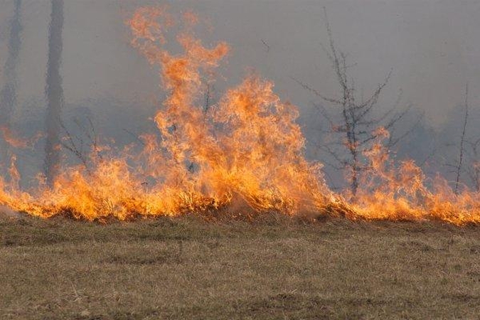 Kovoje su žolės deginimu – baudos ir mažesnės išmokos