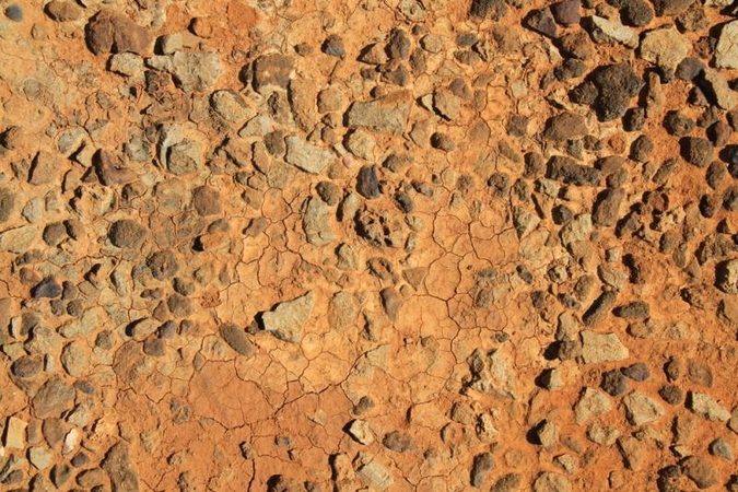 JAV parduota Tisinto meteorito dalis iš Marso