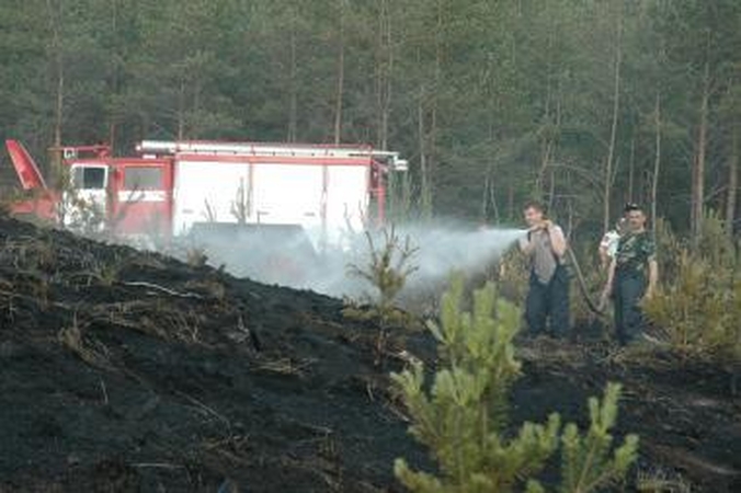 Lietuvoje liepsnose žūsta miškai
