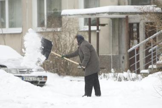 Namų valdos sulaukė pagalbos iš Darbo biržos