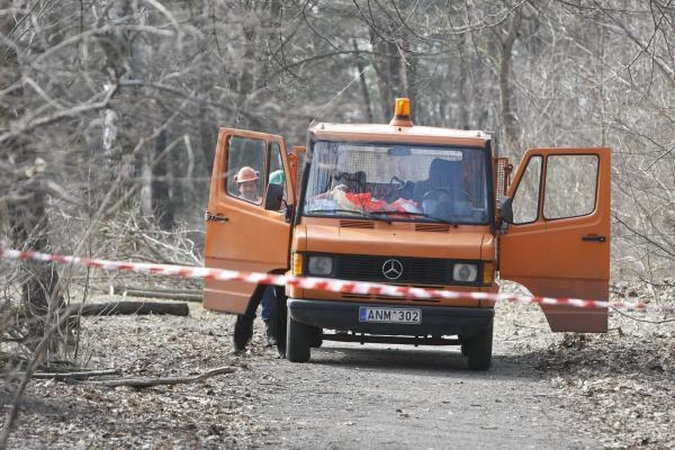 Klaipėdiečiai įspėjami dėl pavojų Poilsio parke 
