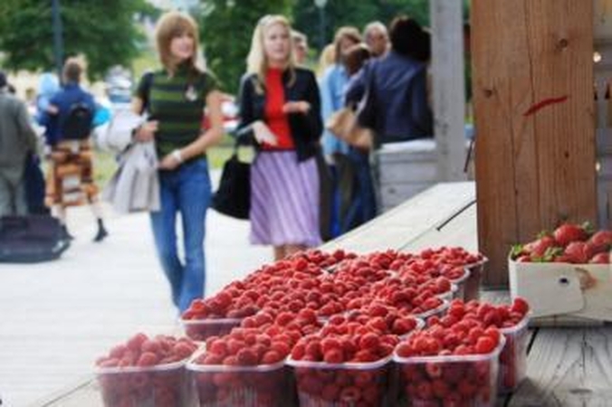Tymo turguje bus verdamos uogienės, V.Pauliukaitis dalinsis receptais