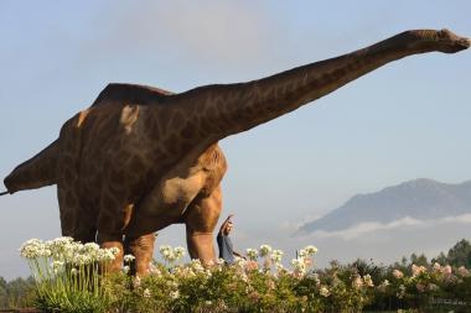 Dinozaurai buvo aukštesni nei manyta