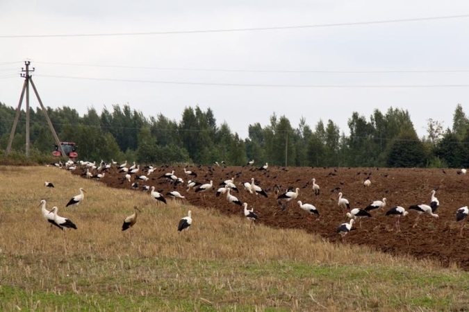 Kelionė po Aukštaitijos perlą - Sartų regioninį parką