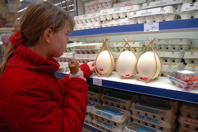 Lietuviams putpelių kiaušiniai - tik Velykų stalo puošmena