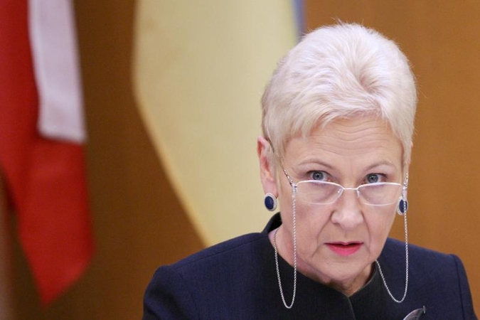 I.Degutienė tikisi naudos iš lietuvių kilmės kongresmeno J.Shimkaus
