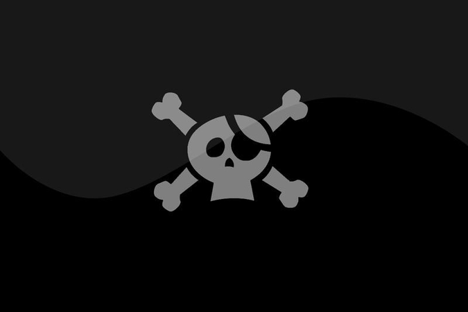 Vienas iš “Megaupload” įkūrėjų paleistas už užstatą 