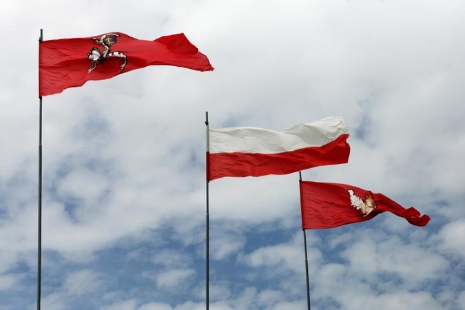 Šimtai Lietuvos lenkų protestuoja prieš naująjį Švietimo įstatymą