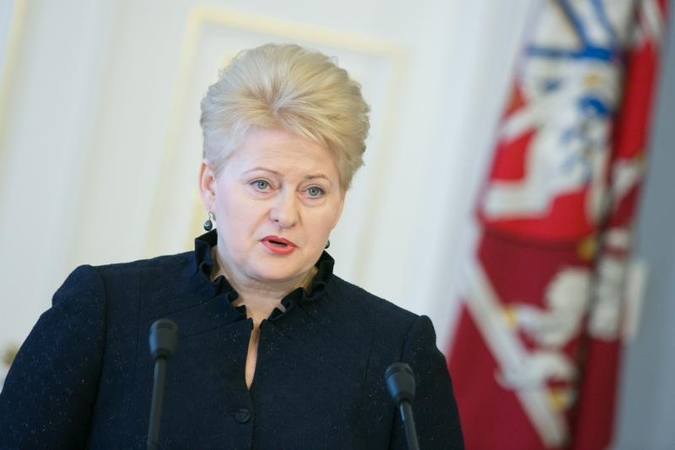 Prezidentė: klaidą galima ištaisyti, o nieko nedarymo - ne