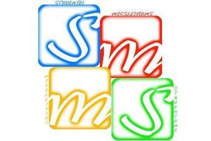 SMMS: netruko nei paskaitų, nei linksmų užsiėmimų