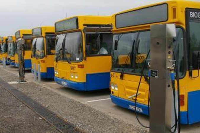Geriausi autobusų vairuotojai - vilniečiai ir kauniečiai