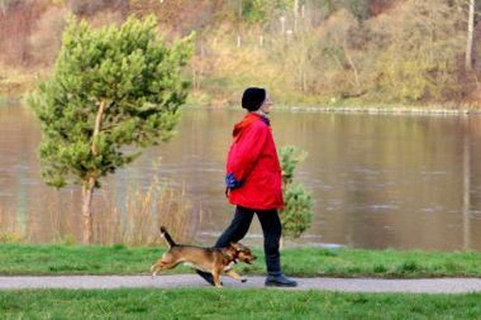 Panemunės paplūdimio planą turi svarstyti taryba