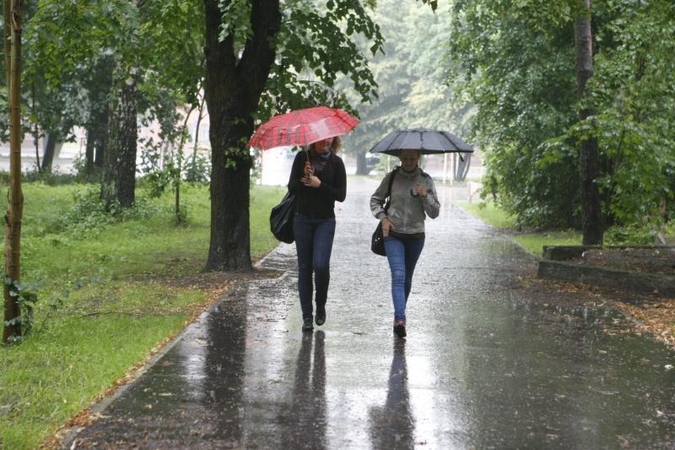 Klaipėdos poilsio parkas jau apšviestas