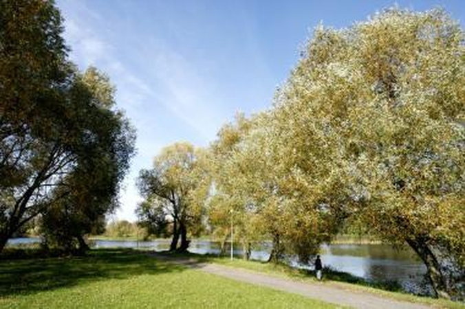 Premija už geriausią metų filmą apie gamtą – V.Jankevičiui