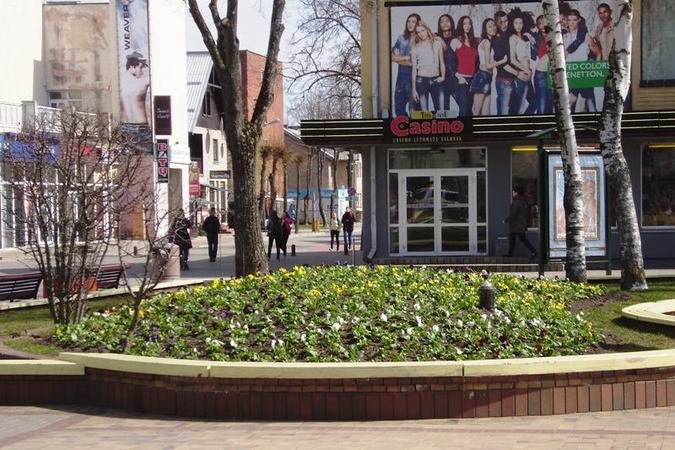 Palanga pražydo tūkstančiais pavasarinių žiedų 