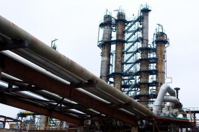 Išsaugoti "PKN Orlen" investicijas - Lietuvos interesas, teigia ambasadorė L.Zakarevičienė 