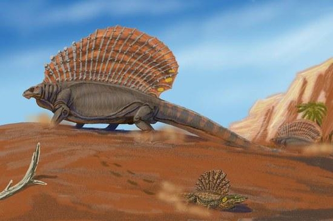 Dinozaurų parką Radailiuose atidarys dar prieš Jonines
