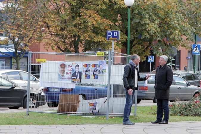 Politinė reklama šiemet leido uždirbti daugiau
