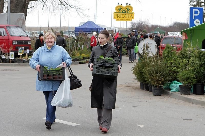 Sodininkų mugėje – nuo ekologiškų vaismedžių ir retų veislių augalų