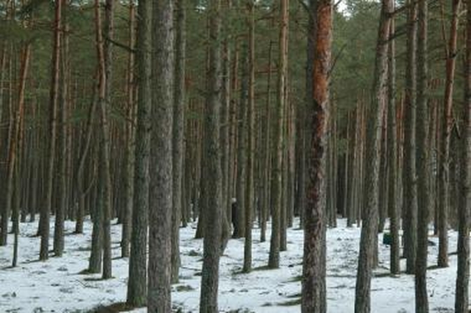 Parlamentarai aiškinsis karjero Doviluose teisėtumą