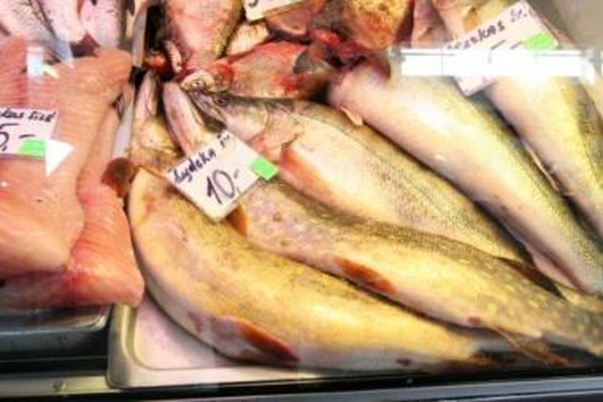 Akivaizdu: vakar turguje įsigyti šviežių nelegaliai sugautų lydekų buvo galima po 10 litų už kilogramą.