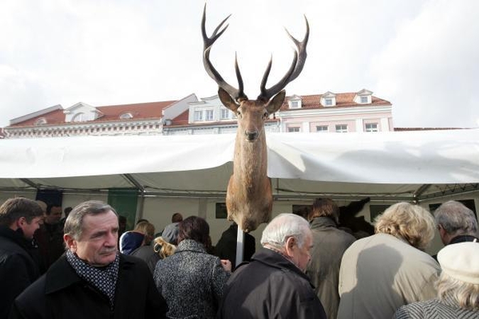 Vilniaus širdyje burbuliavo žvėrienos viralai