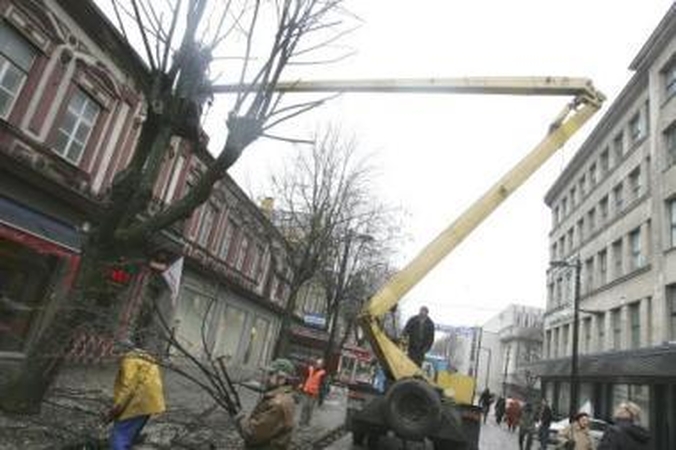 Vėluoja: miesto medžius ir želdynus prižiūrintys darbuotojai negauna uždirbtų pinigų.