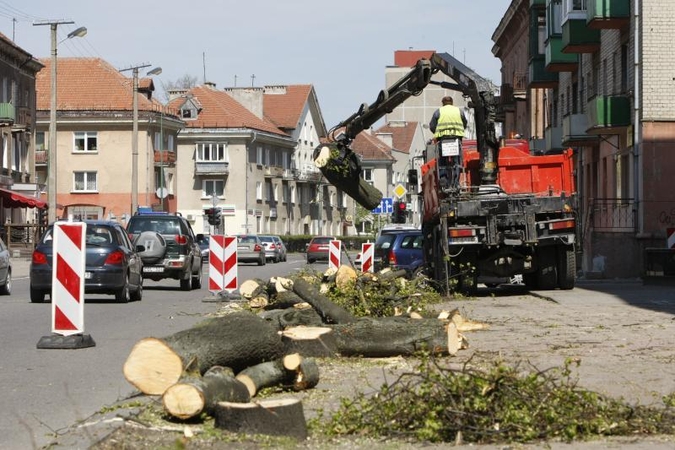 Minijos gatvė        ruošiama toliau platinti