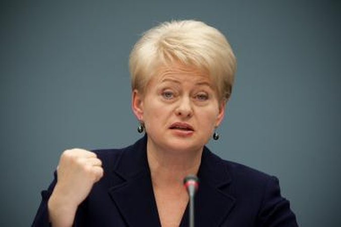 Kaip D.Grybauskaitė įsiutino Seimo opoziciją?