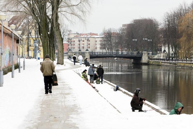 Ar Klaipėdoje reikia naujo dviračių tako?