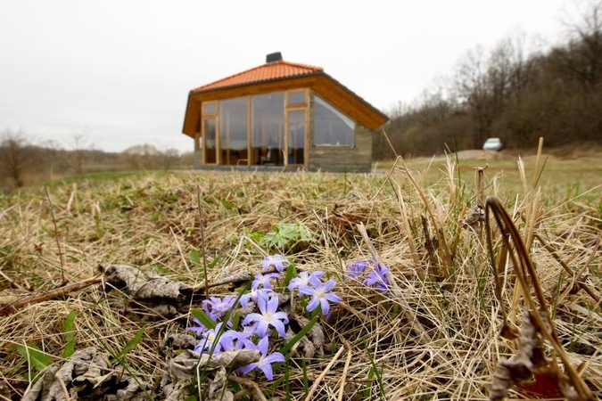 Saulės energiją galima išnaudoti ir be tarpininkų
