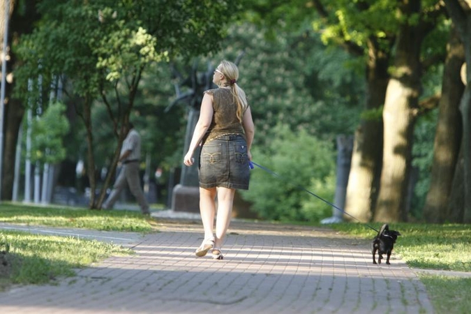 Skulptūrų parkas – šunynas   