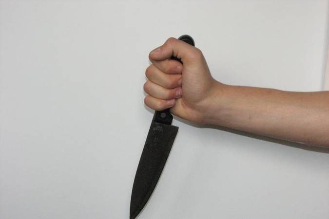 Policijos pareigūnus puolė su peiliu rankoje      