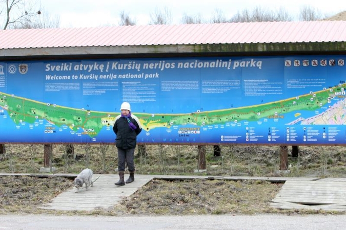 Kuršių nerijos  miškuose  pasirodė   reindžeriai