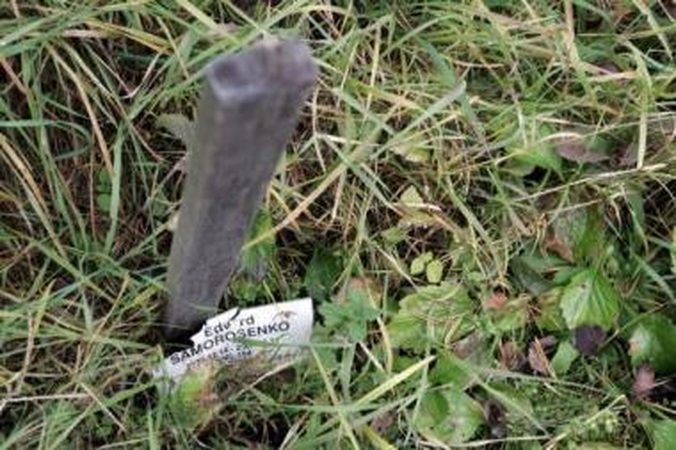 Rūpestis: vaikai ne tik uždegė žvakeles ant nelankomų kapų, bet ir nurinko nuo jų šiukšles, nuo ankstesnių metų likusius žvakių indus.
