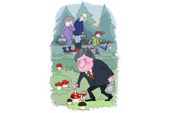 Gegužės anonsai