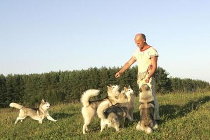 Lietuviškas indėnas turi tik vieną žmoną