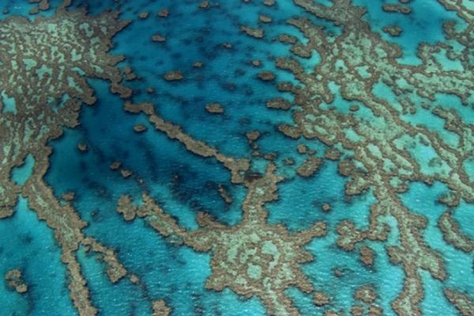 Aplinkos dieną – himnas planetai